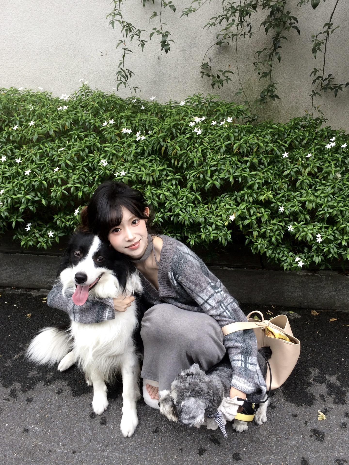 小狗的爱是永永远远。