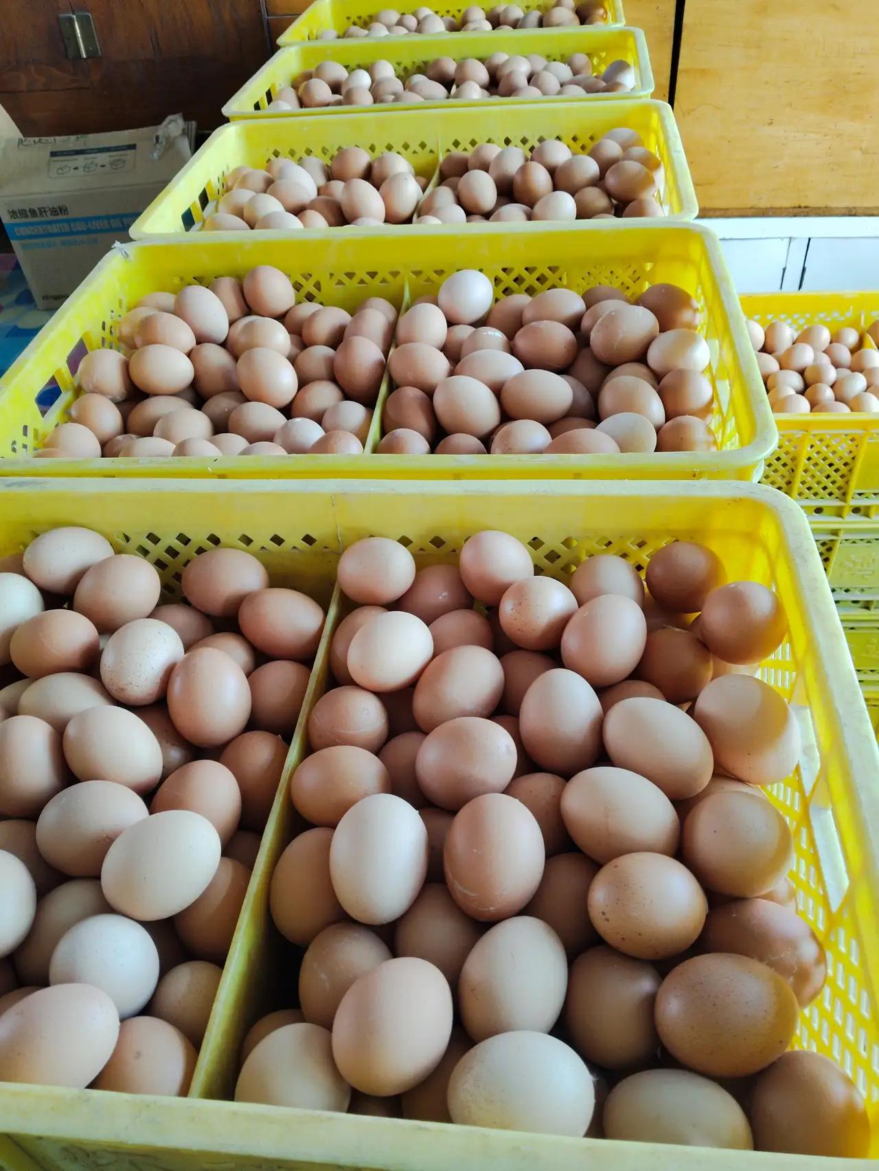 宋清辉己孤立无援在找一一战友，打假人士王海是否会伸出援手！敌人的敌人就是朋友，能