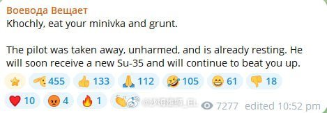 菜鹅VKS今天被乌军打下来一架苏-35，飞行员生还。 