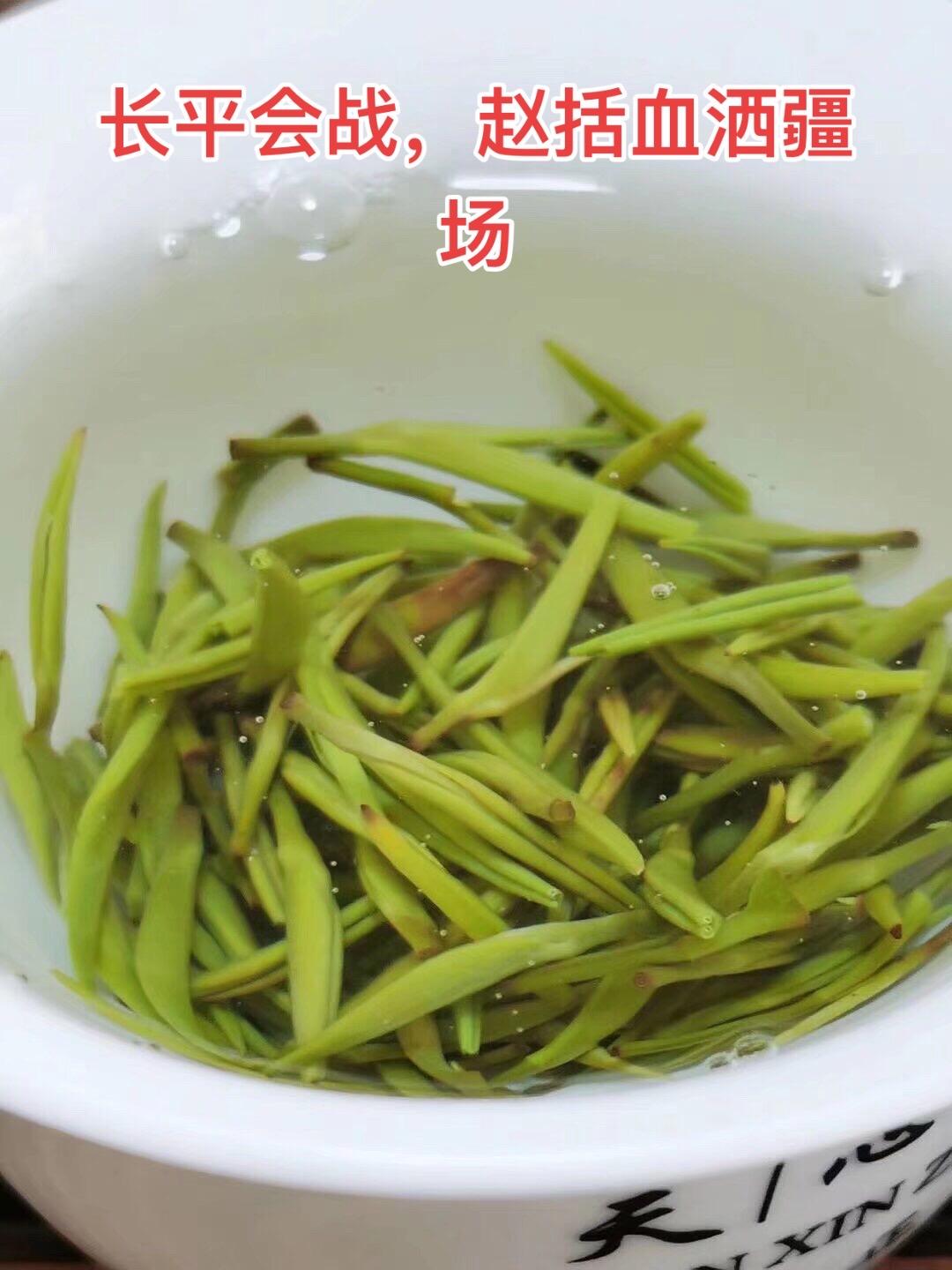 战国末期，秦赵这两个同祖先的国家在长平进行了一场历时三年大规模的会战...