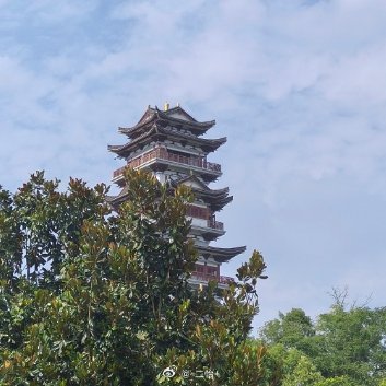 奇奇我是二丫早安下了三天雨今天终于停了