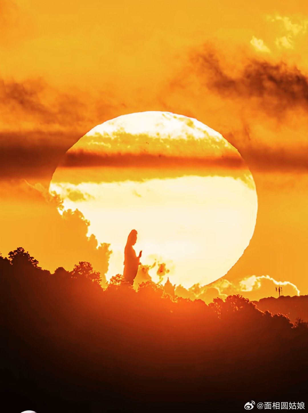 你终将会被命运托举 