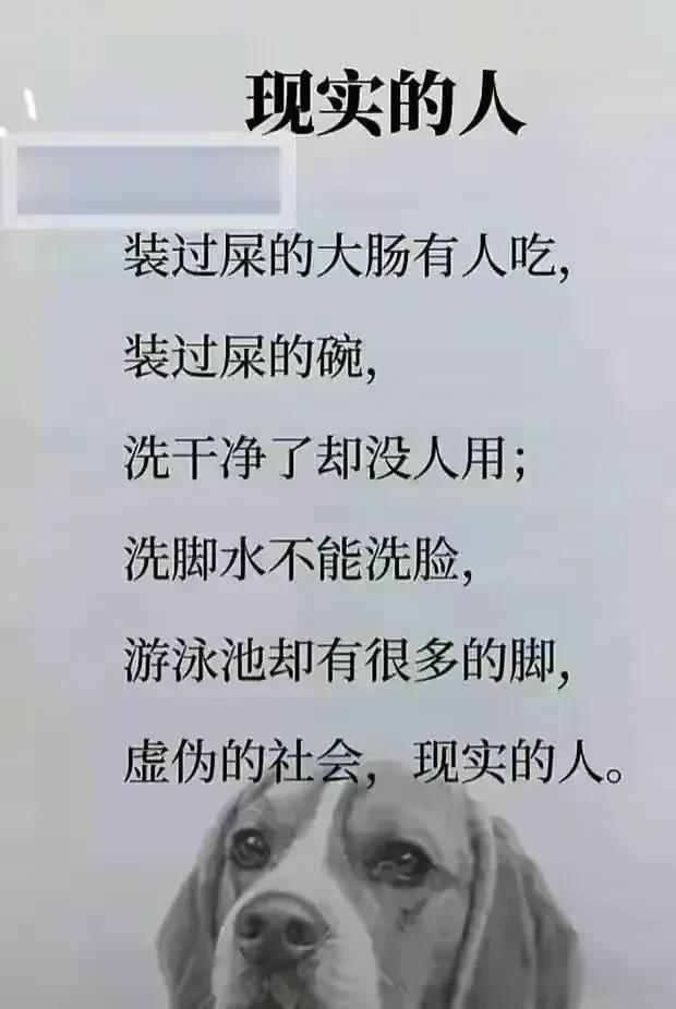 说什么好呢？