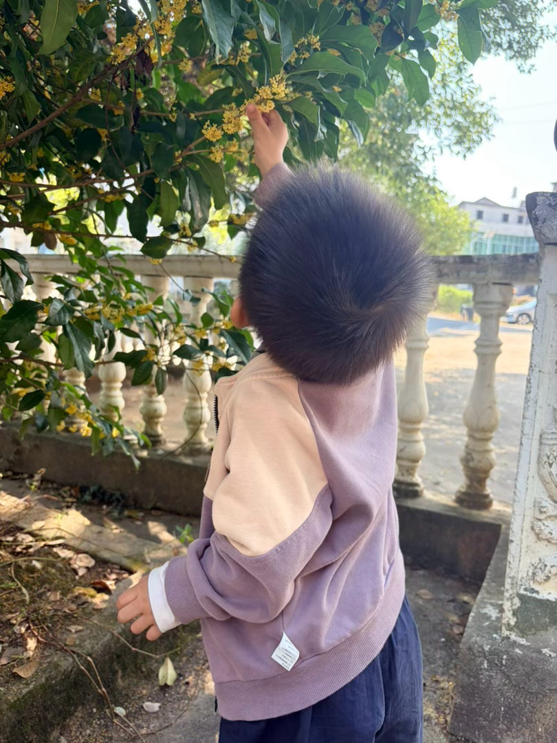 原计划今天回深圳的，前天晚上宝爸就开始有点感冒了，晚上娃也闹腾没有睡好。早上起来