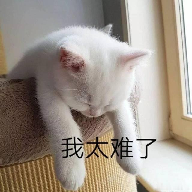 每年高考数学一考完，数学二卷 谁出的题 就会准时上热搜，葛军也跟着被拉出来祭天。