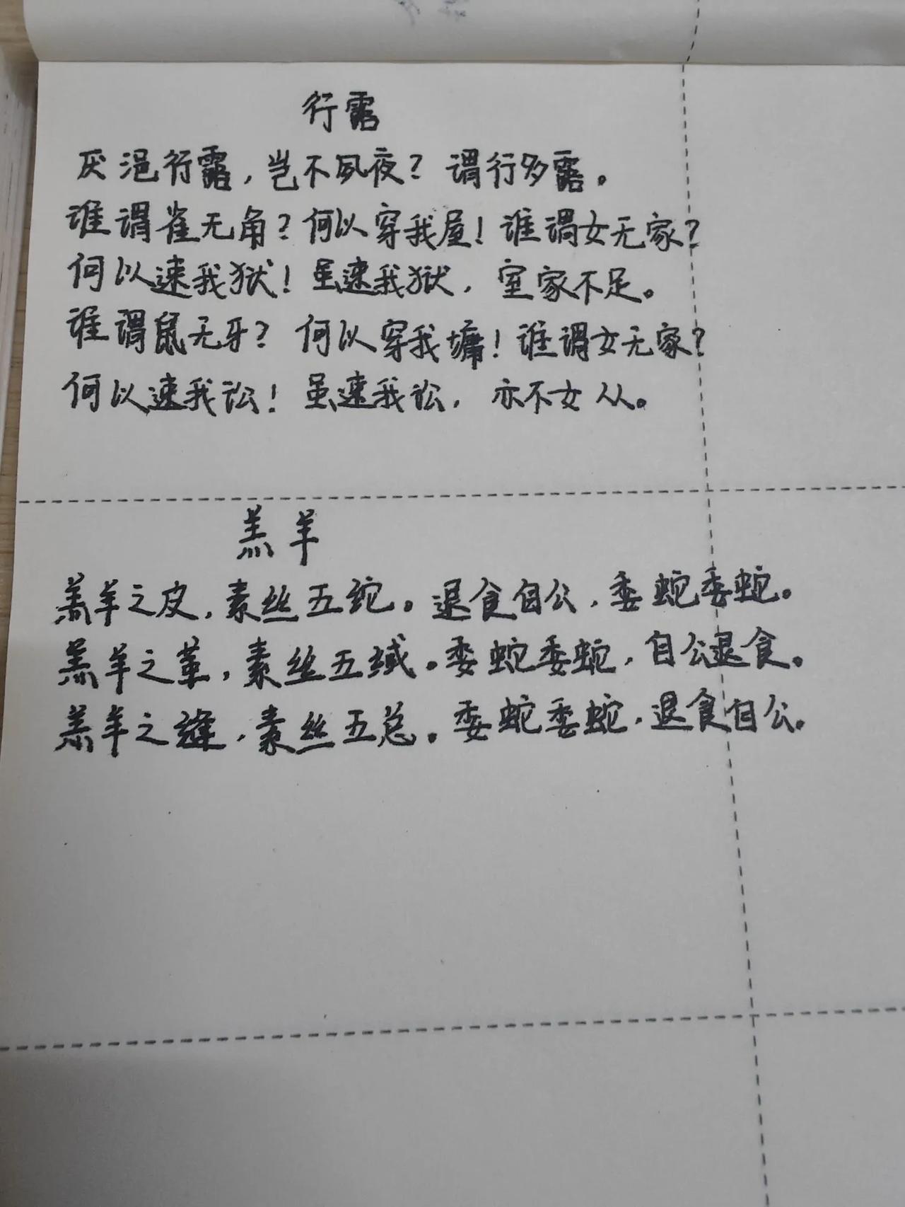 抄书到底有没有收获?第50天，《诗经·召南·羔羊》，这不是一首写羔羊的诗，却是一