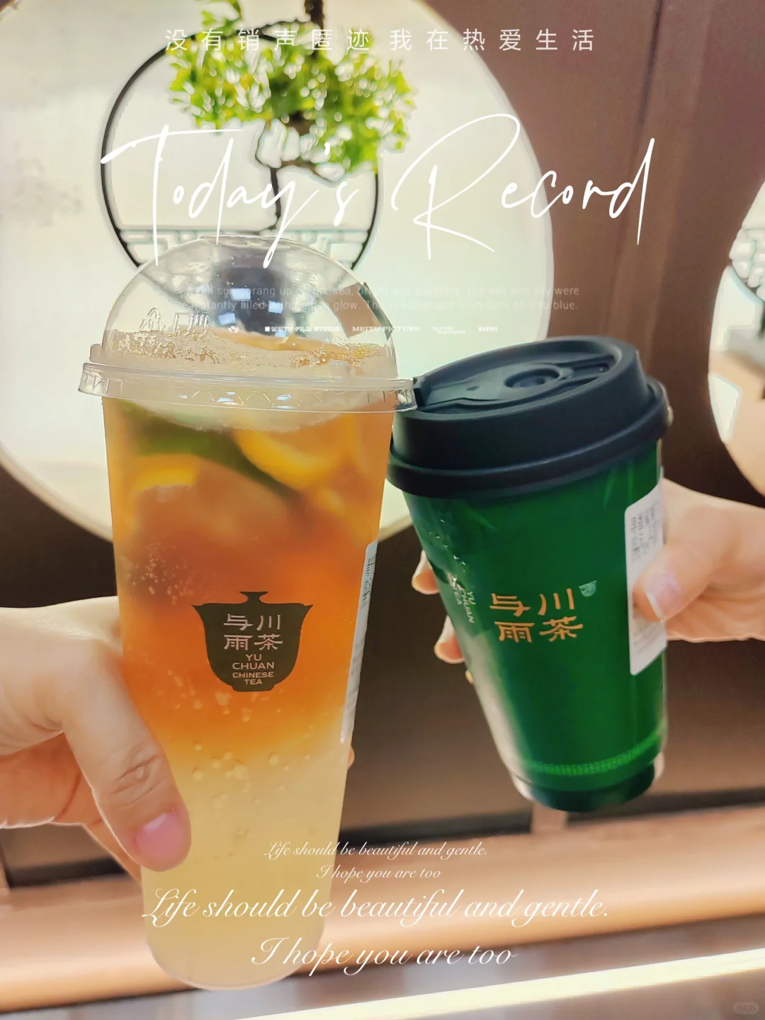 潮茶新指标 与川雨茶新品上新