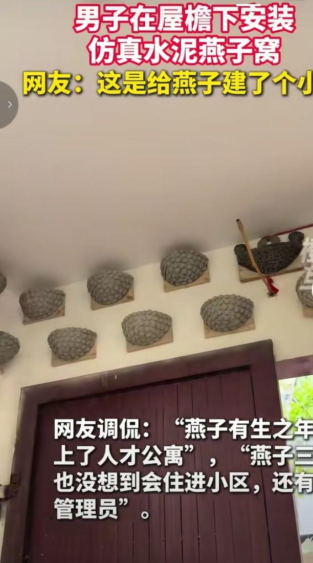 近日，一男子在屋檐下安装仿真水泥燕子窝的视频火了。这看似多此一举的行为，背后却藏