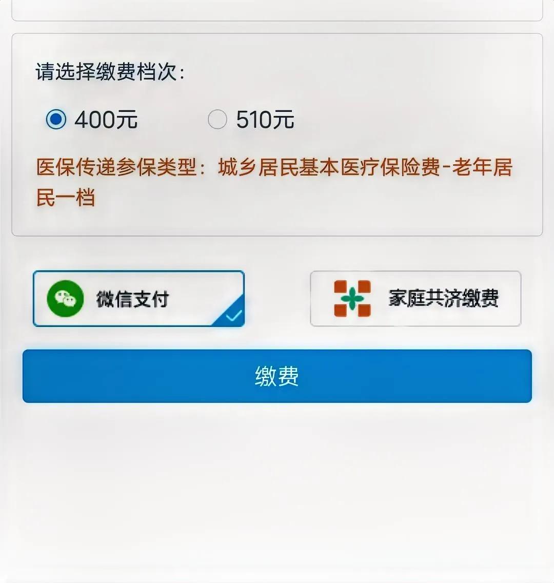 家庭共济缴费是什么意思？和微信支付平行存在，那代表是一种支付方式吗？搞得那么复杂