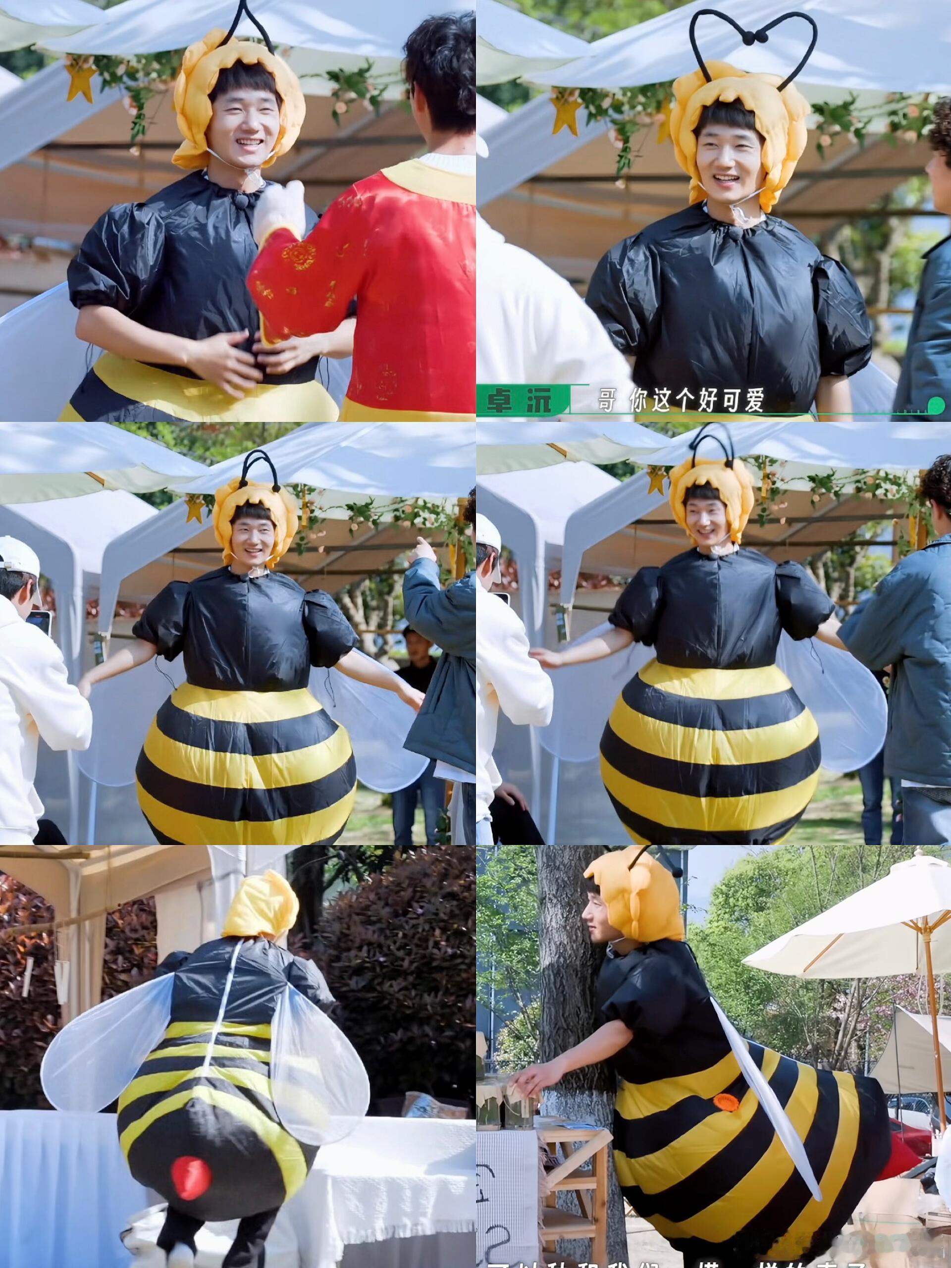 我要被蒋敦豪这个小蜜蜂笑死了，太可爱了！“需要帮忙吗”“小蜜蜂就算了”哈哈哈哈哈