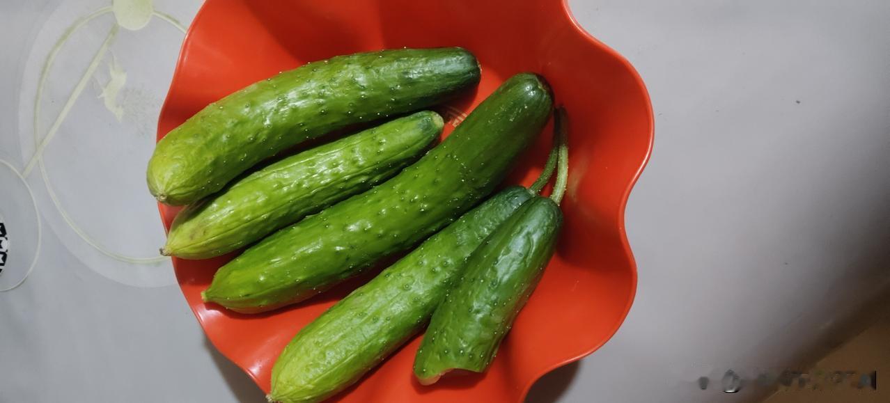 反季的大棚黄瓜真是如同嚼蜡吃不得？
昨天我去超市心血来潮买了六根黄瓜，当时看黄瓜