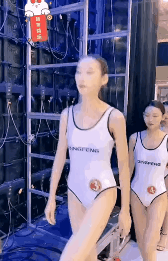 这是举办什么项目