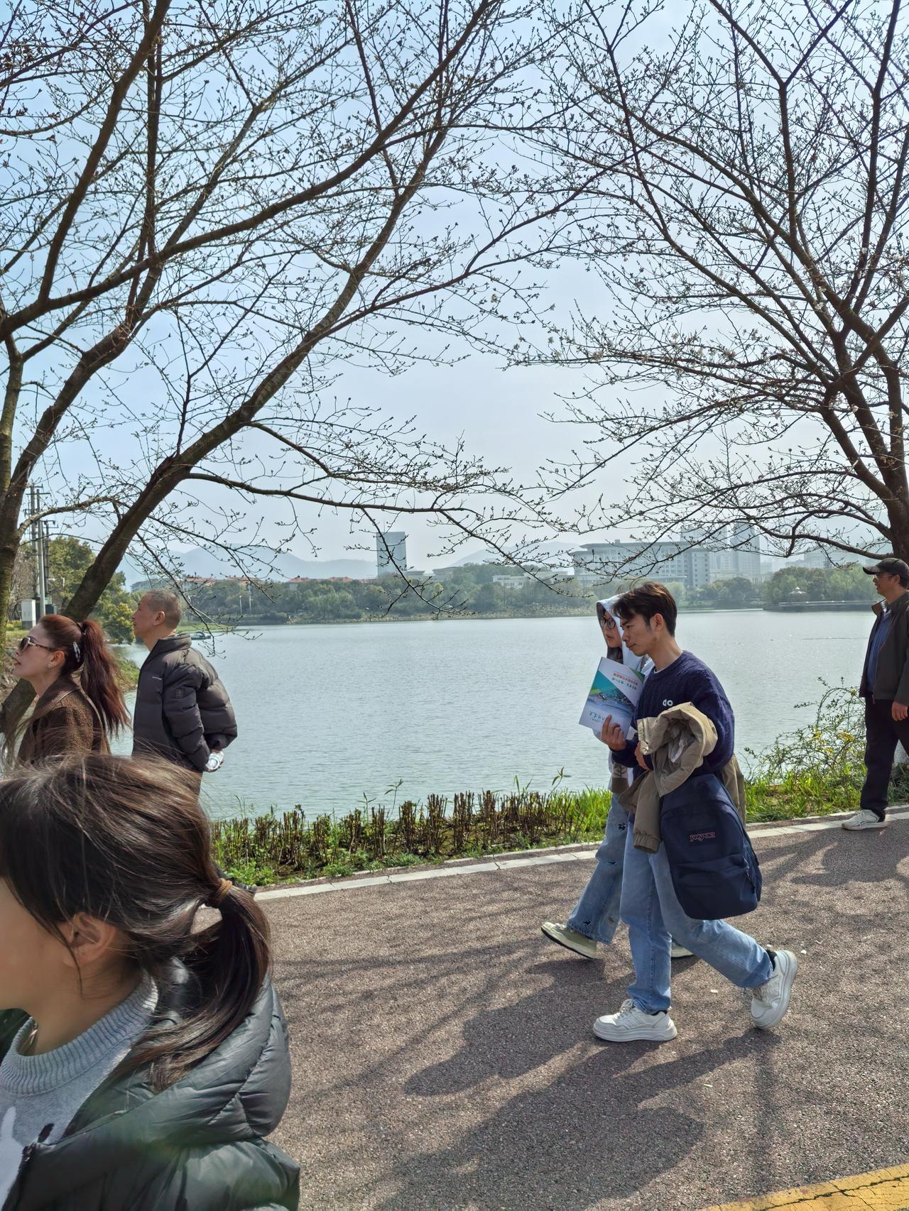 在黄石约会一整天，玩法超丰富。
上午可以去紫藤花廊，那长达数百米的紫藤长廊，垂挂