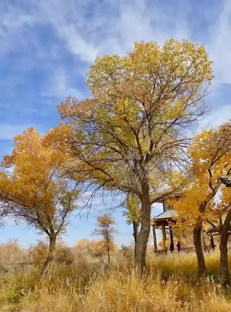 网上疯传“始于欣赏、久于人品、终于慈悲”这句恋爱金句，硬说是梁实秋、杨绛、钱钟书