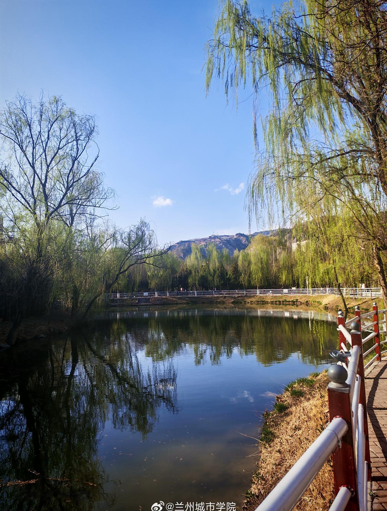兰州城市学院[超话]
[哇]小编碎碎念 
故事的最终，李华得到了钱买下了那件九磅