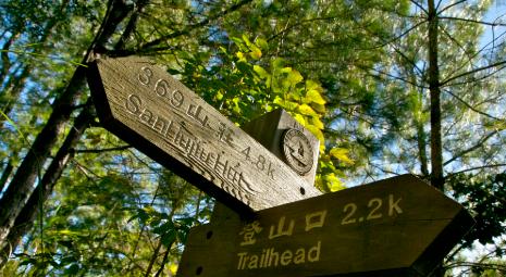荆州中学统配名额曝光！实验中学、东方红中学名额最多？小升初家长速看
每年小升初，