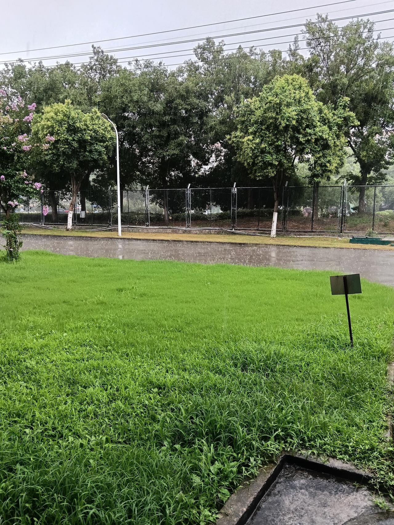 雨后美景 治愈系风景 小城日常 治愈自己