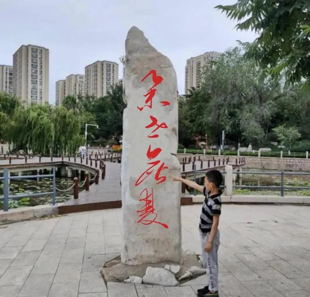书到用时方恨少，没文化真是太可怕了，唉，小时候天天放牛，没有好好读过书。

那天