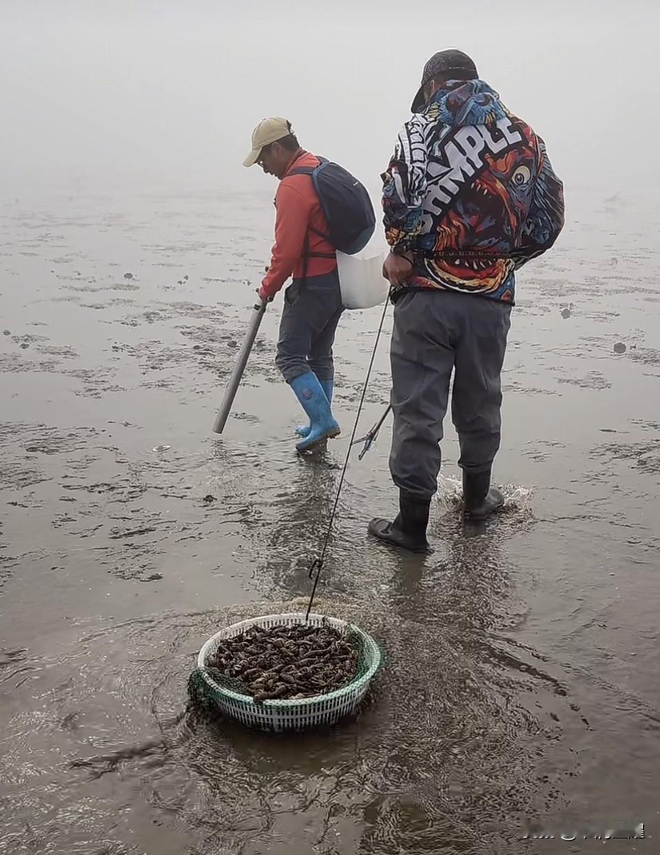 大连海边，看起来雾蒙蒙的一片，但有网友在海滩上收获出其不意，泸沽虾抽到让人眼热。