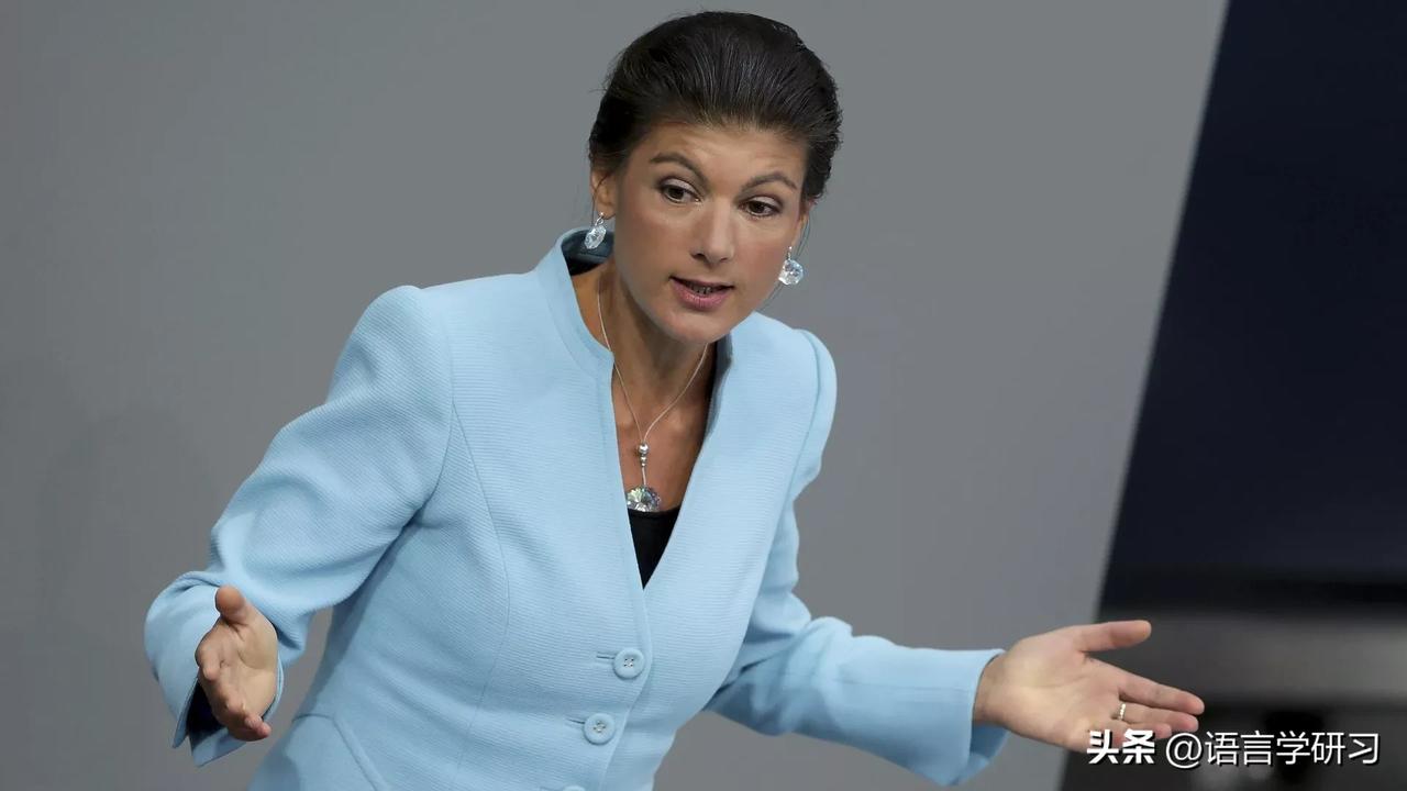 德国政治家：德国需重启进口俄罗斯石油

德国莎拉·瓦根克内希特联盟——理性与公正