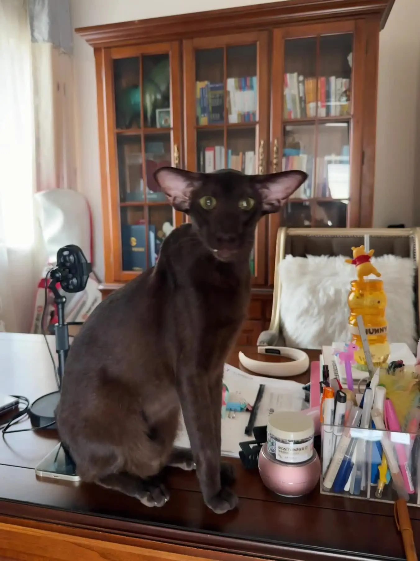 大哥找不到人就在书房😂