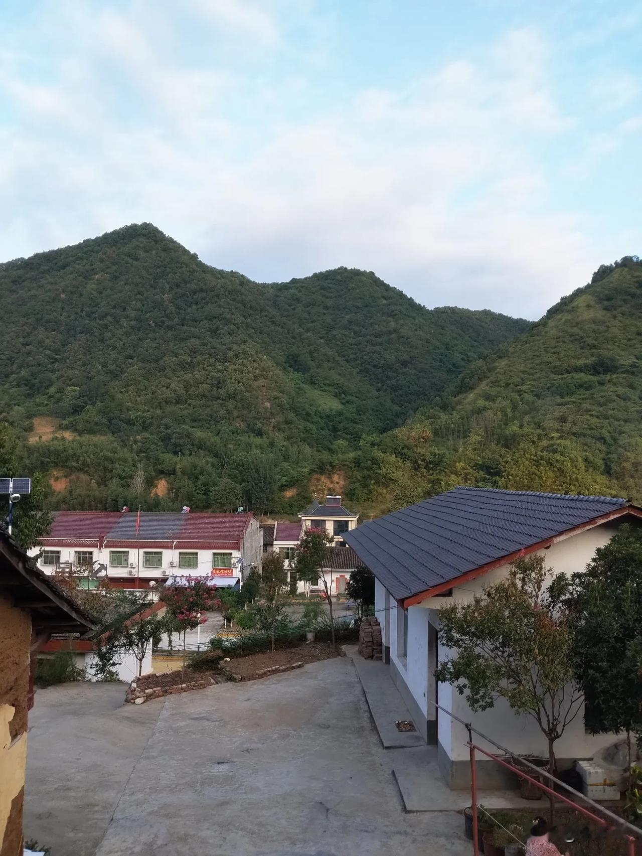 一棵有根的野草，

生于满地黄沙，

显出一抹倔强的绿。

一棵有根的树，

并