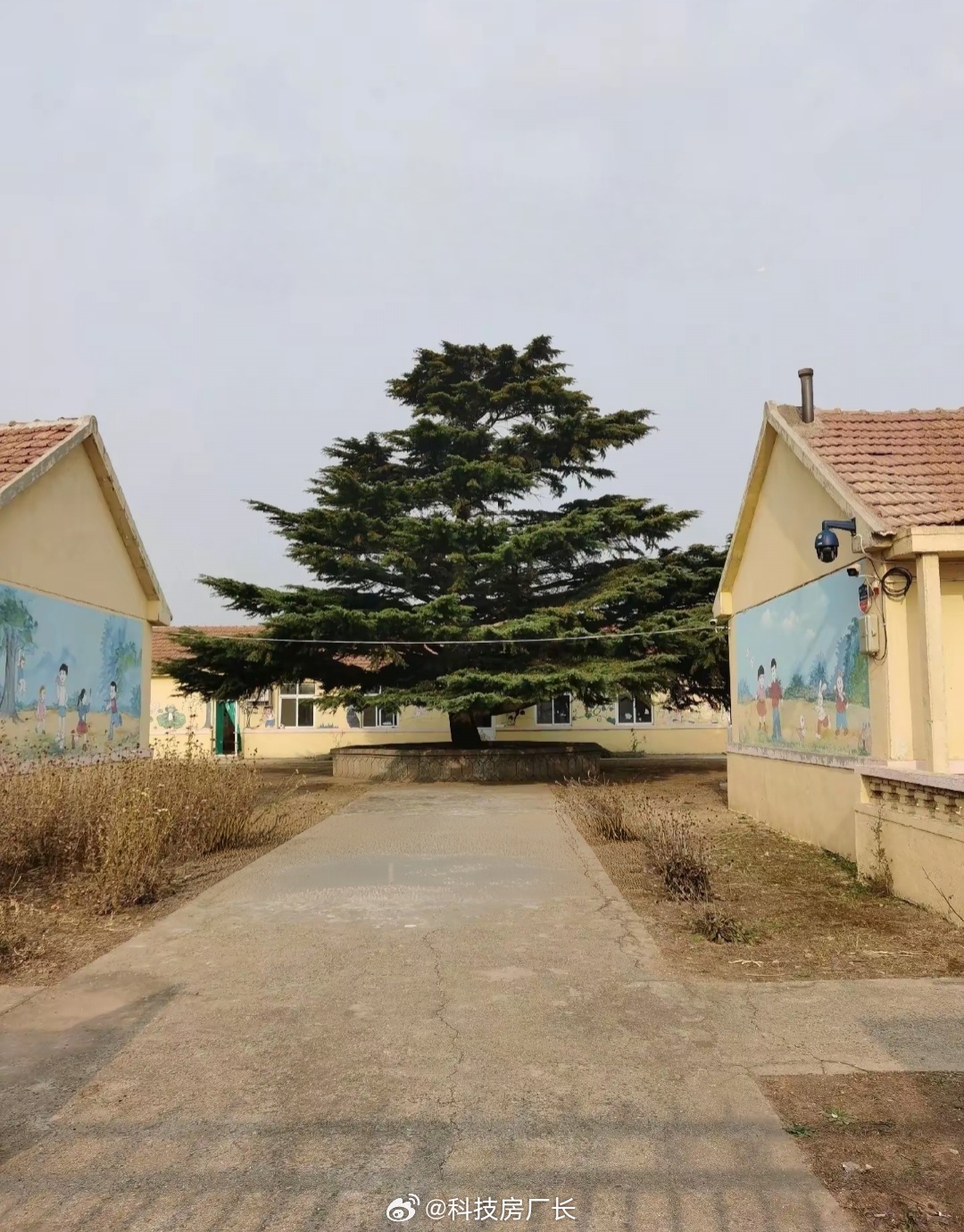 80后的小学是不是都这样 ​​​