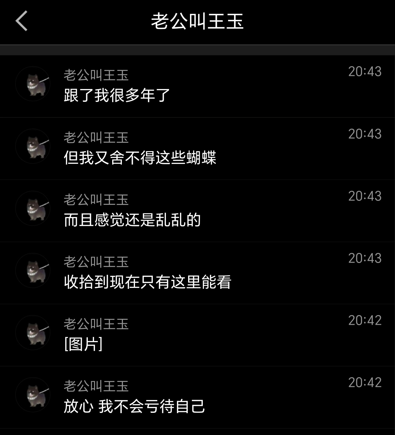 丸丸展示温馨的家门上是不是有pld 