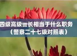 四级高级警长听着唬人，行政上无实权，本质就是公安执法勤务岗的副高级待遇，和事业单