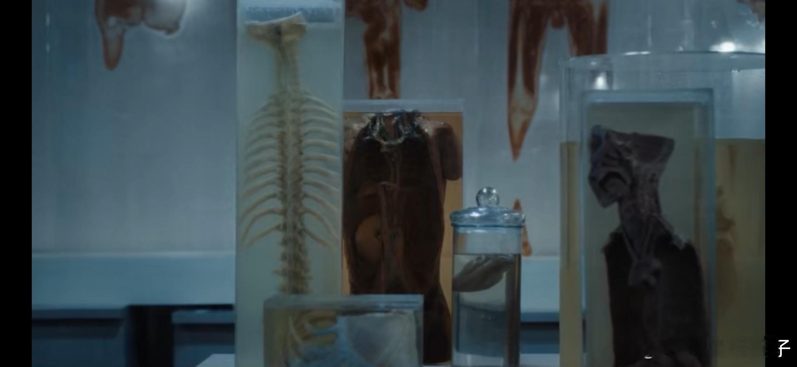 拿着手术刀做着刽子手 这些罪行都应该公之于众，而不是埋藏在历史中，尤其是打着救人