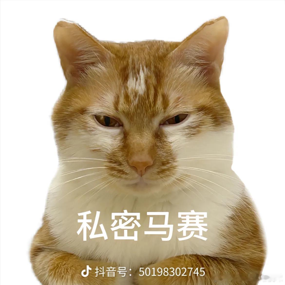#我爸把养了六年的猫扔了#自己的猫自己不养，非要道德绑架老父亲……我觉得她还不如