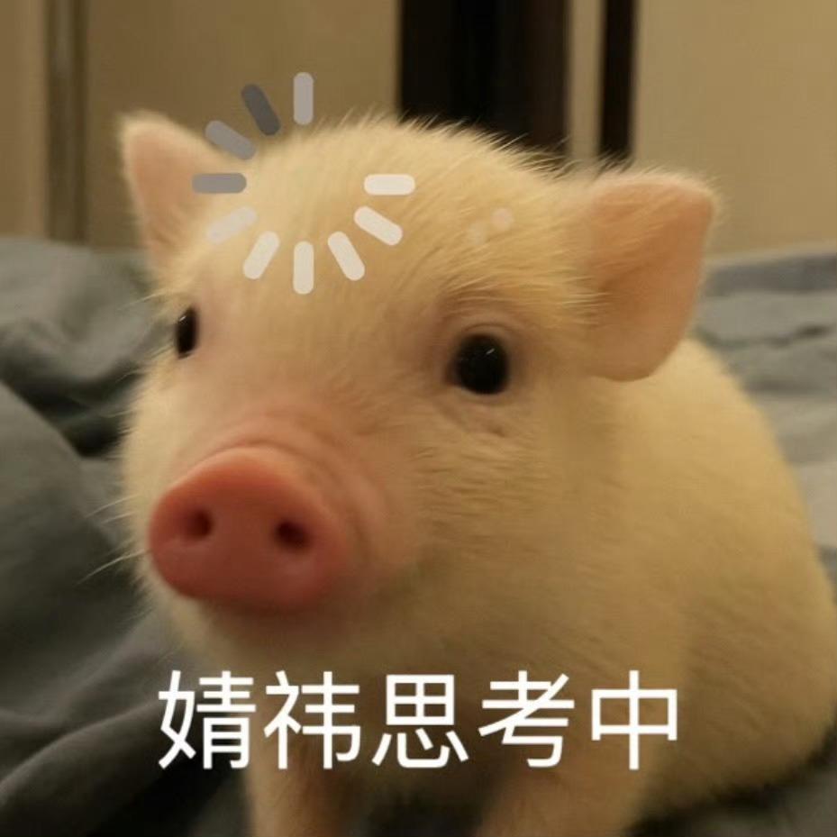 猪塑才是最萌的 不解释 不接受任何反驳˃̶͈🐽˂̶͈ 