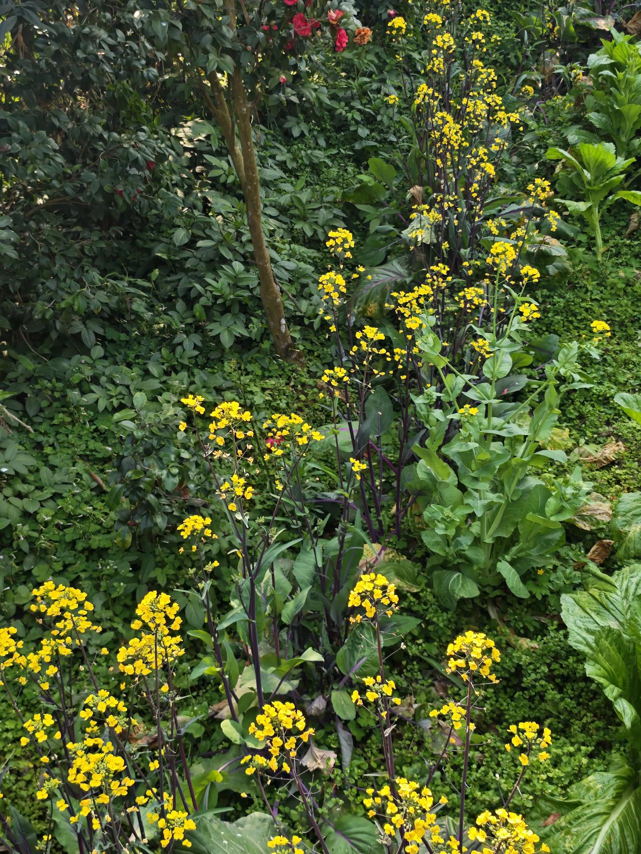 我借春天这支笔，绘山绘水绘未来。
谁有妙对！