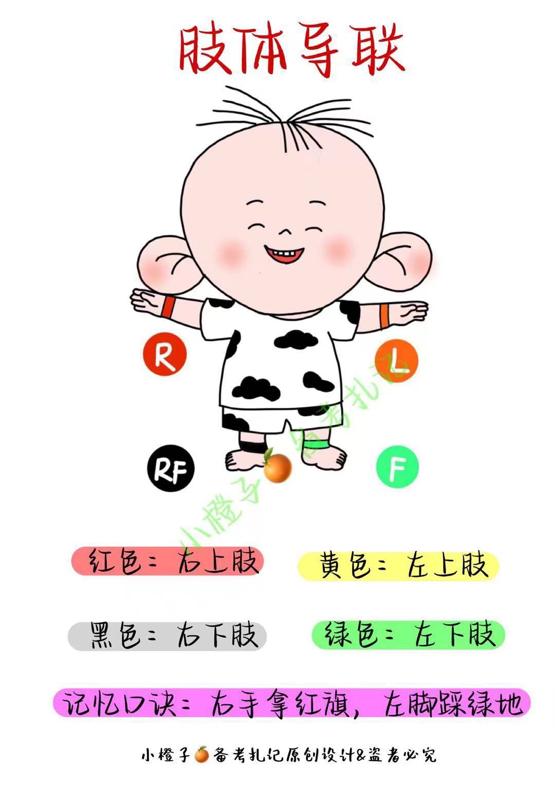 📖实习必备｜一篇学会心电图导联