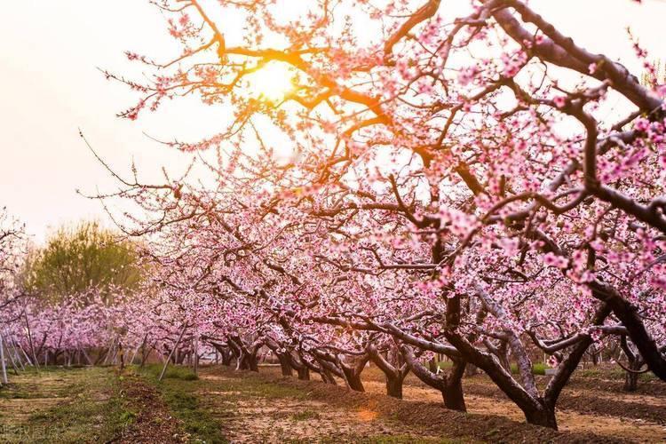 上联：雪描竹径冬声寂
下联：风绘桃园春意浓