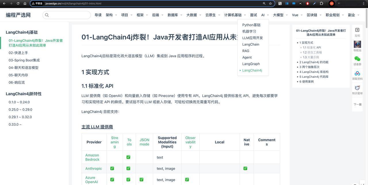 Java大模型应用开发最好的时机😉#程序员 #软件开发 #人工智能 #计算机 