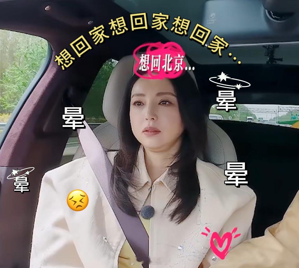 董璇张维伊度假变渡劫女明星晕车现场全放送！董璇张维伊阿那亚之行刚出发就遭“滑铁卢