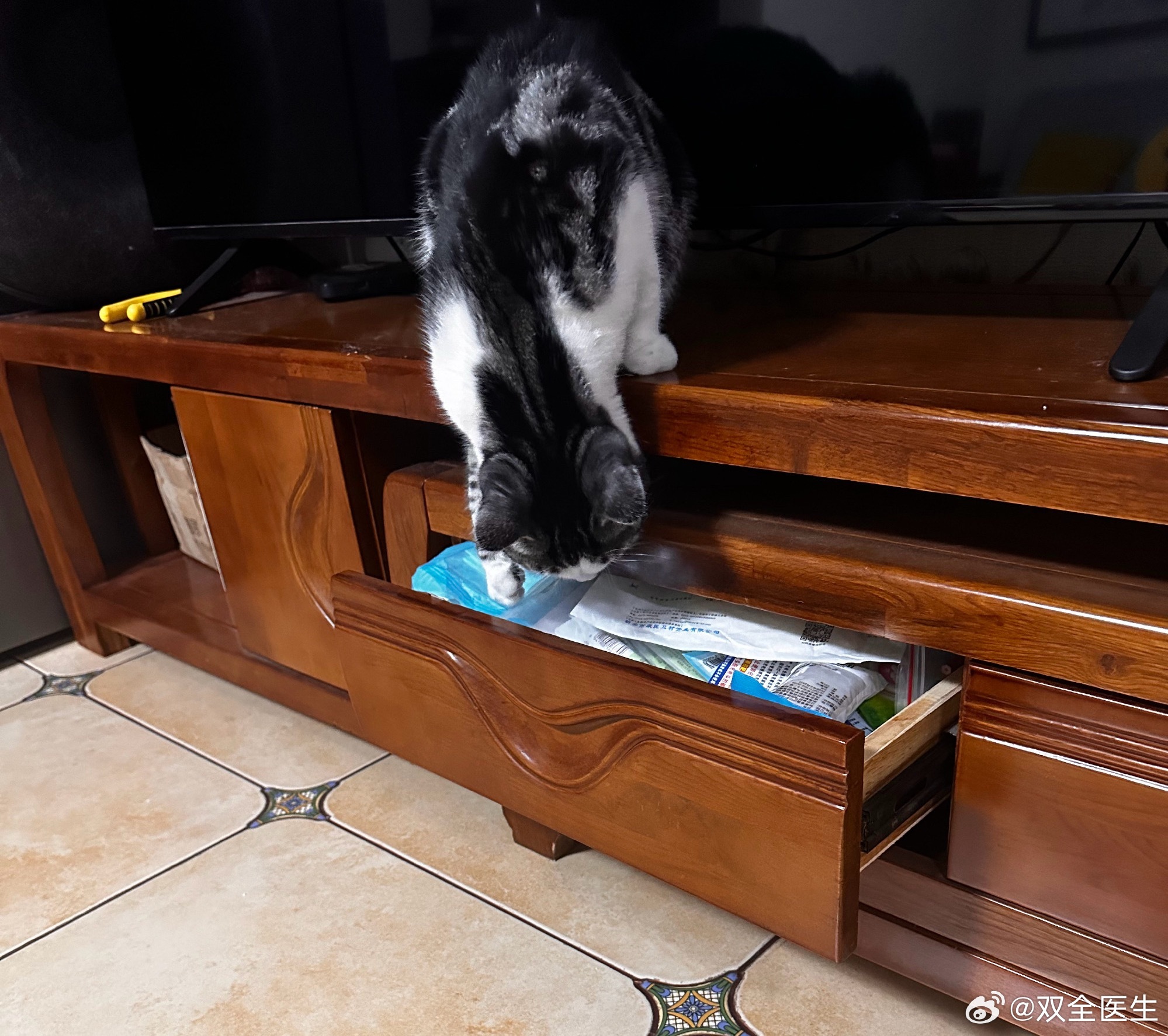 猫条藏在一楼抽屉里，小喵喵已经学会开抽屉了，自己偷偷叼猫条吃，昨天夜里我也听到当