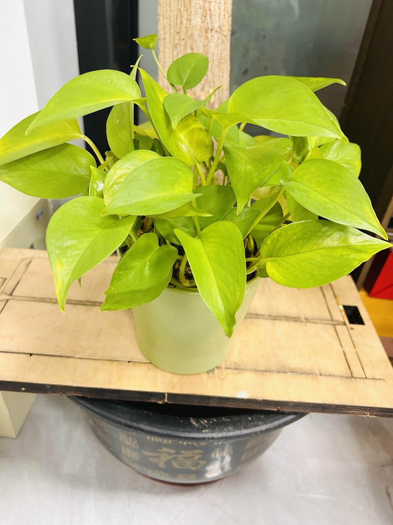 下班的你们在干什么呢？