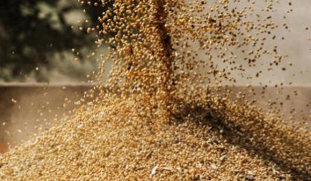 中国开始购买美国大豆
 
根据路透社的消息：中国中粮集团，在本周订购了三批、约1