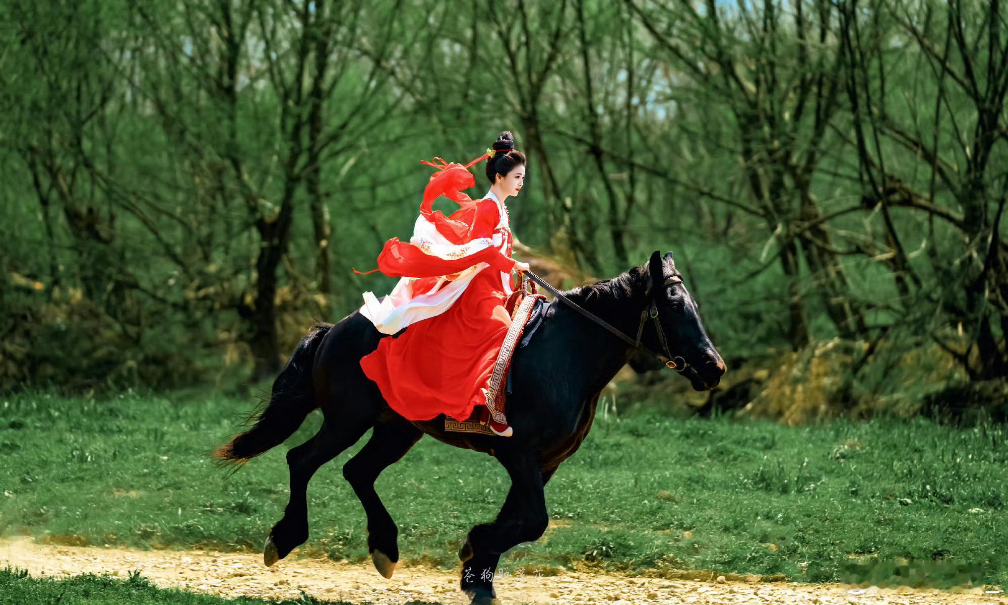 唐宫奇案怎么还不定档白鹿《唐宫奇案》定档2月5日啦！佩仪大人武力值拉满，大唐探案