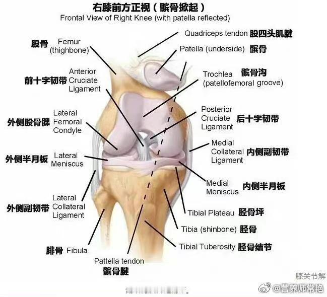 #坚持每天走一万步后#膝盖受不了...保护膝盖要注意培养运动习惯很好，避免运动损