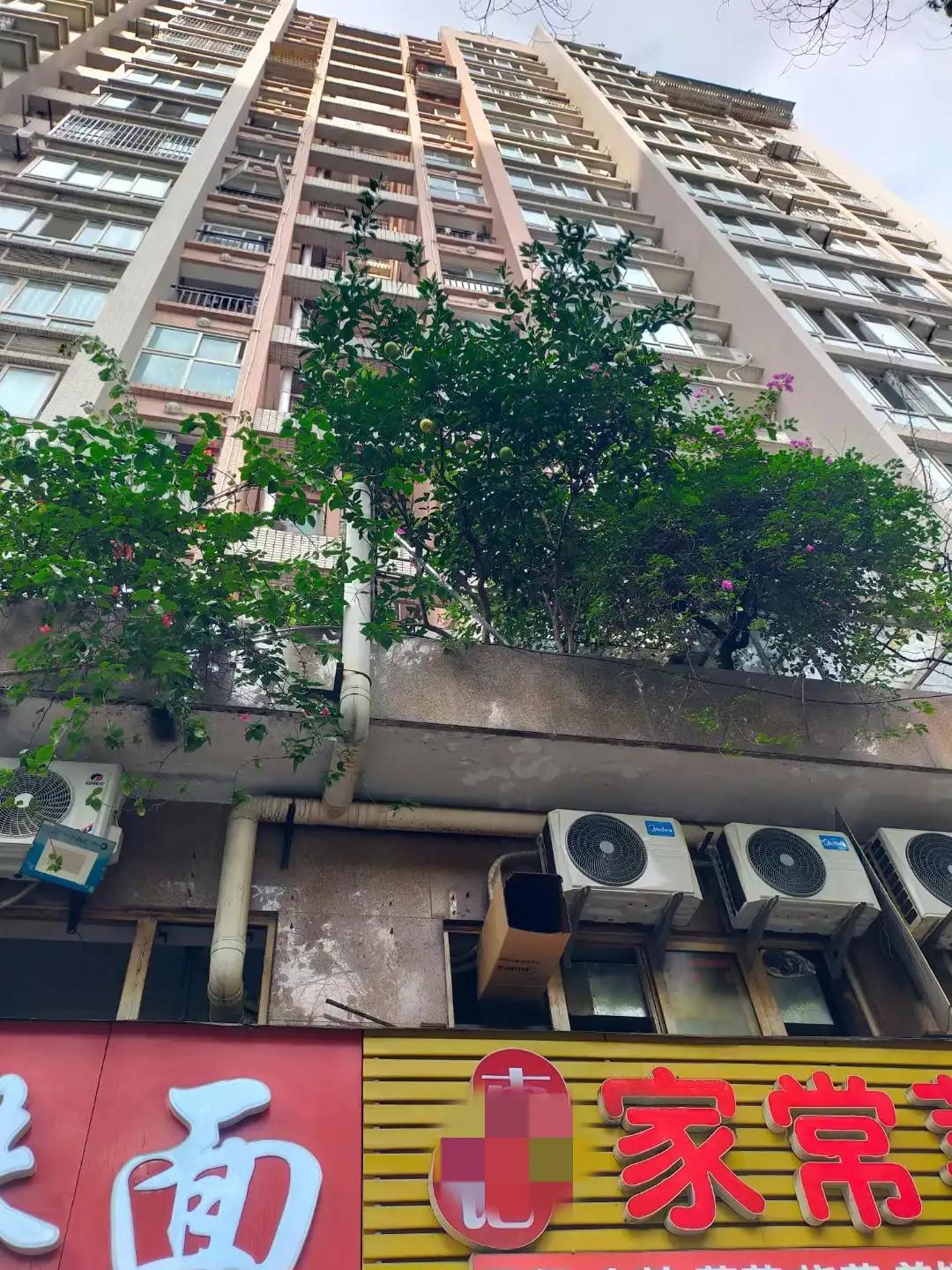 阜新朋友的老爸老妈，再次踏上奔赴海南岛过冬的旅程！
这次老两口选择的是火车，而不