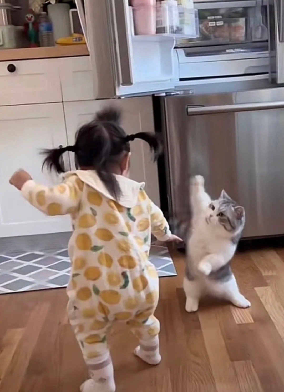 猫猫和人类幼崽正在为冰箱里最后一盒酸奶大打出手 ​​​