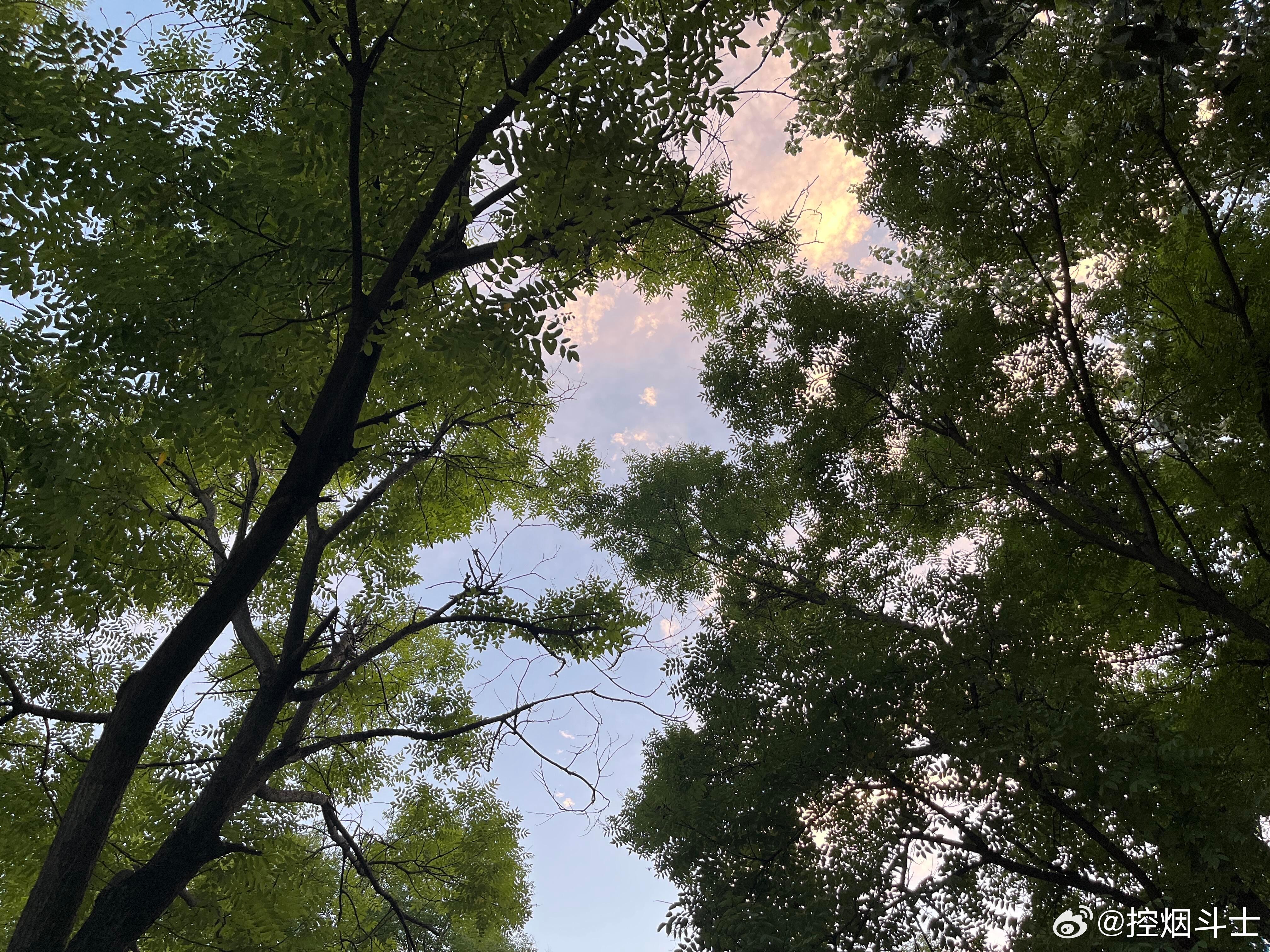 真正的自信不是觉得自己好，而是不评价自己我之前做所有事情都是有一个内化的评价标准