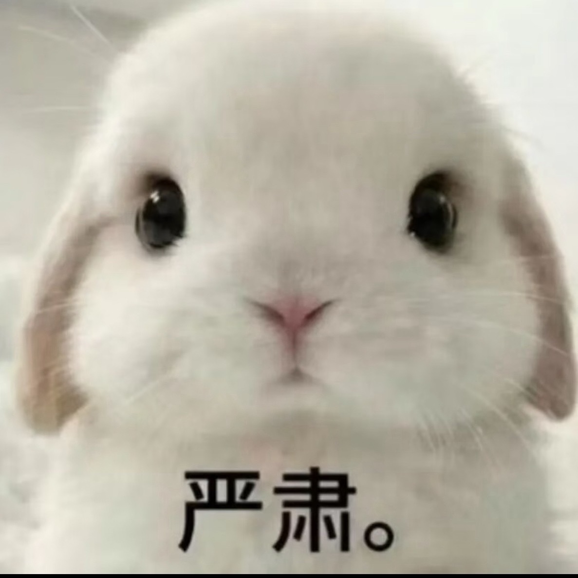 提问：收起来差不多25cm左右的支架到底能不能混过去啊如果我义正严辞面不改色的说