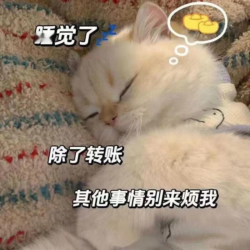 下雨了🌨️这天气适合睡觉，下午我要搂着我家猫猫美美补一觉，叫了一堆肯德基（不吃