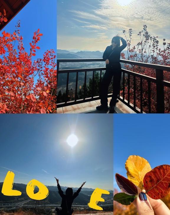 才感深秋 忽而已冬🍁
踩在秋天的尾巴
收集最后一抹秋色
第二次试飞无人机
全景