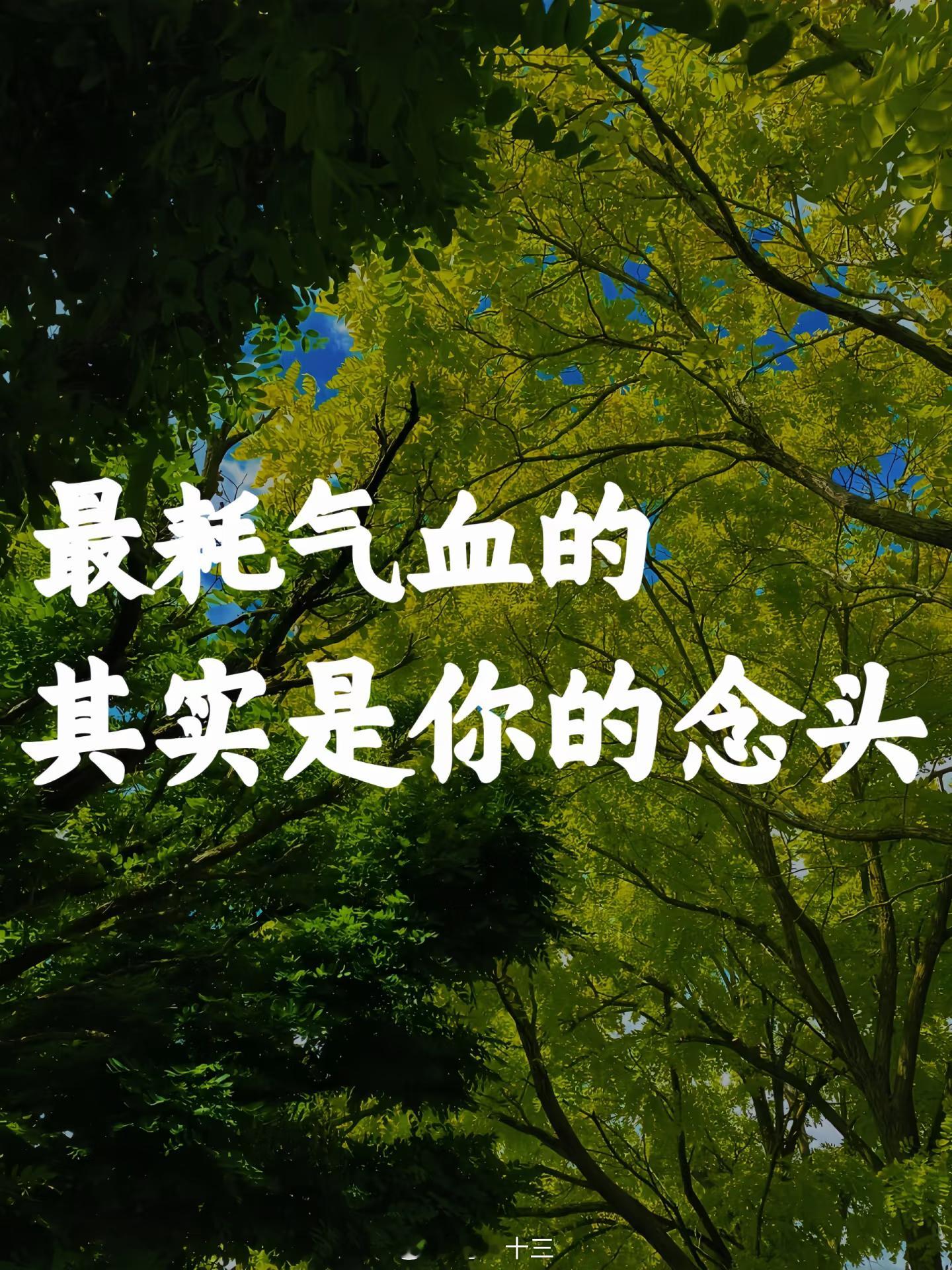 人一接近退休气血就开始回来了人每天的念头中，那些纠结、焦虑、胡思乱想，自我否定 