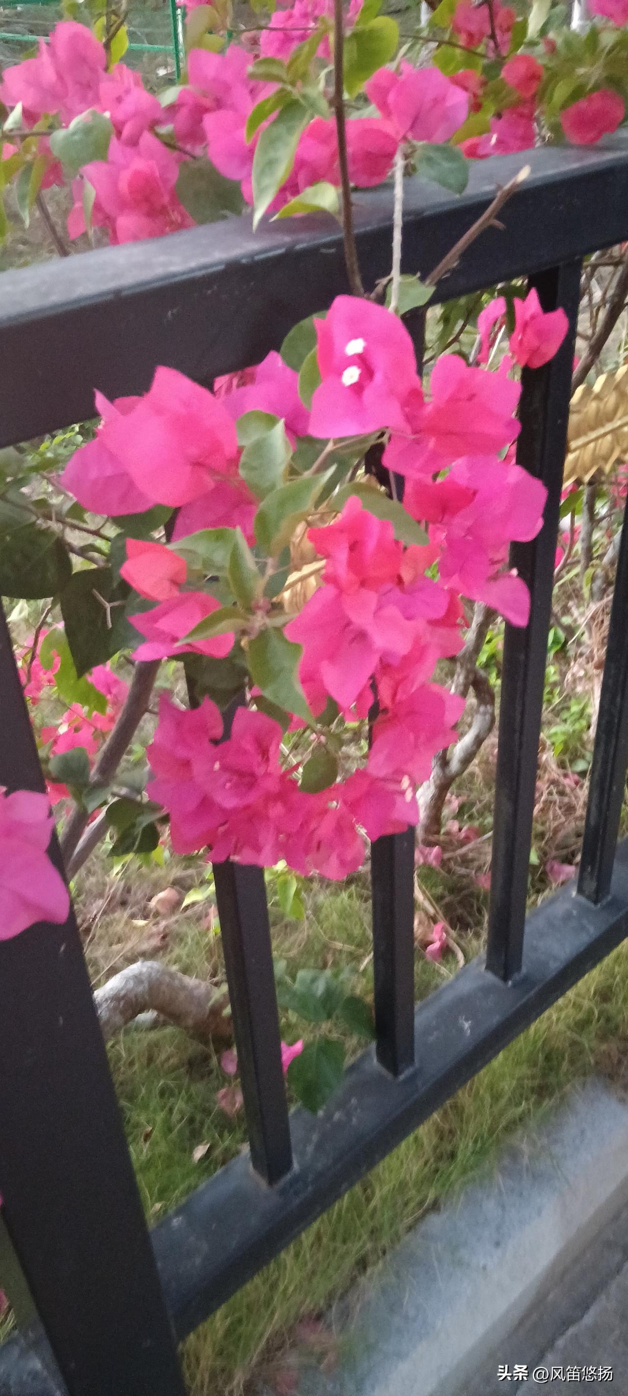 现在的海南乐东九所，人已经少了很多，天气也是越来越热，露天游泳池的水也变得温热，